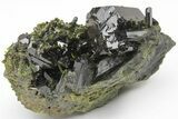 Lustrous, Dark-Green, Epidote Crystals on Actinolite - Pakistan #213434-1